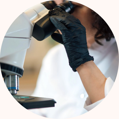 客戶來樣檢測(cè)